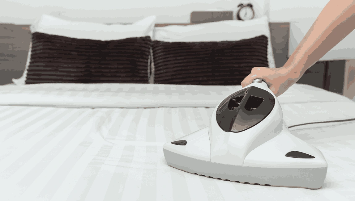 Professional Mattress Cleaning Murrumbeena